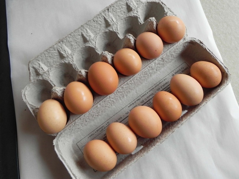 Как делают искусственные яйца в Китае, видео