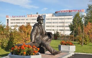 Переориентация российской экономики на восток – отличный шанс для Лангепаса и других малых городов Сибири