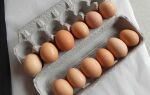 Искусственные яйца в Китае – правда или фейк